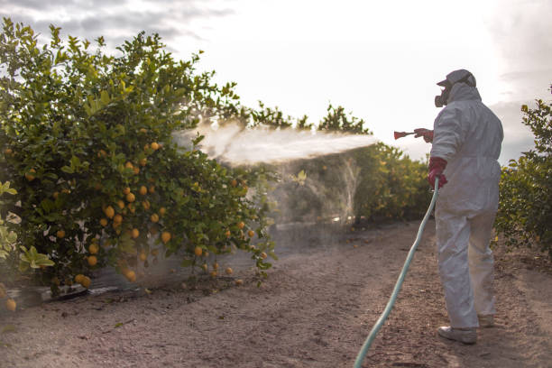 Wildlife Control Services in Milford, IL